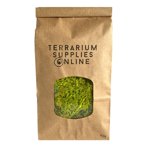 50g Preserved Reindeer Moss