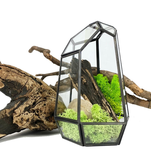 Geometric Terrarium