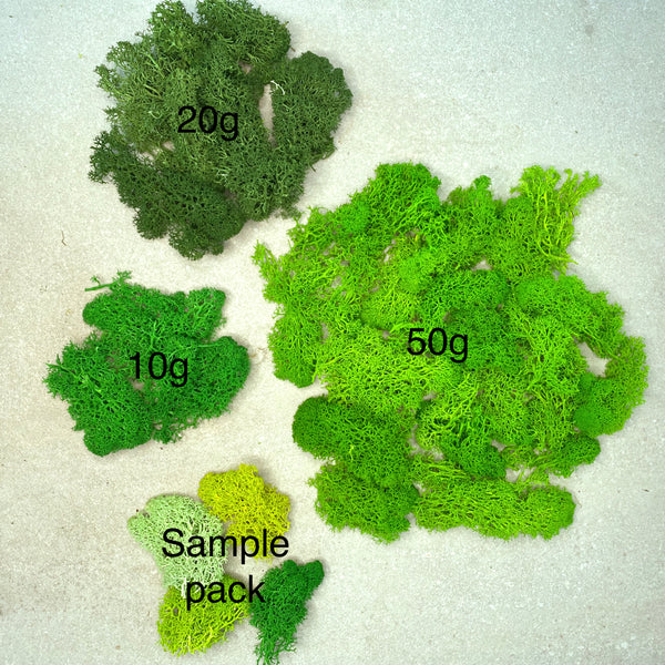 Reindeer Moss Sample Pack