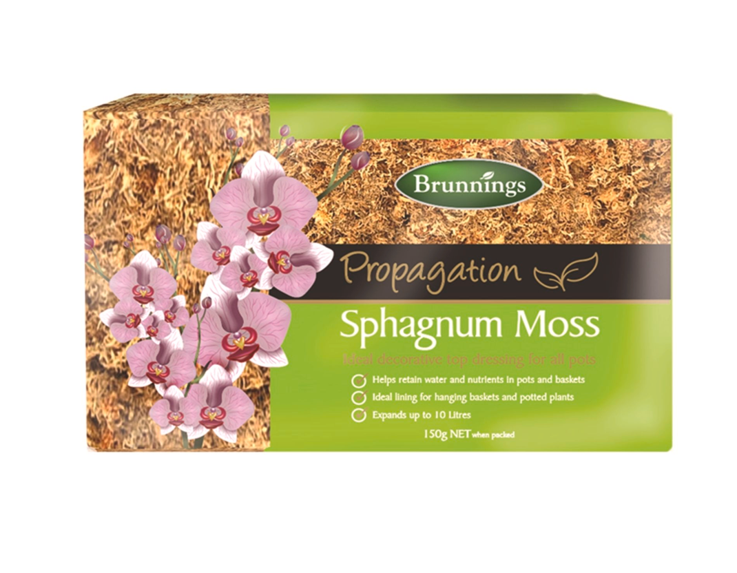 Sphagnum Moss Block 150g 500g