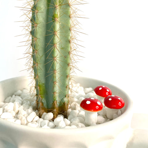 Red Mushroom Figurines